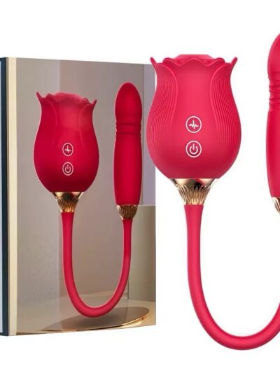 DOUBLE VIBRATOR